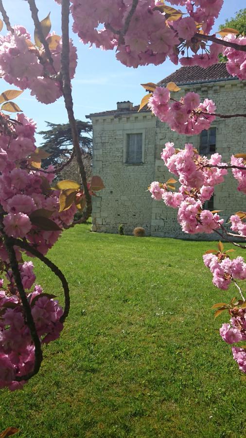 Вилла L'Olivier Monts-sur-Guesnes Экстерьер фото
